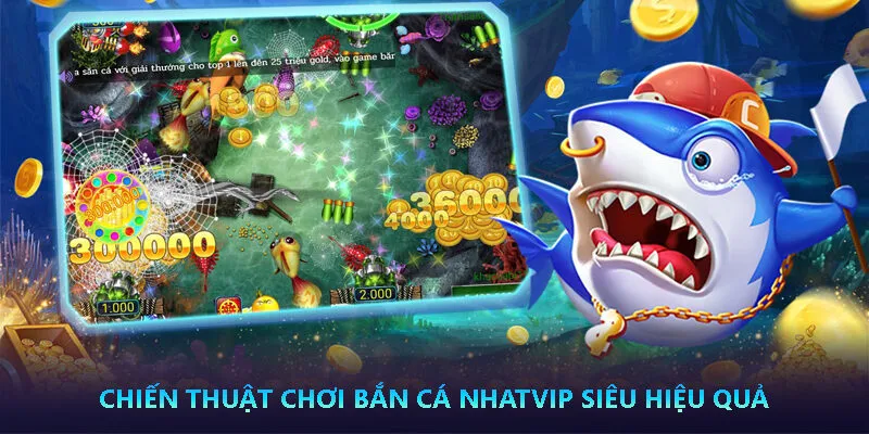 Bắn Cá Nhatvip - Sân chơi săn cá đẳng cấp 4 Chiến thuật chơi Bắn Cá Nhatvip siêu hiệu quả